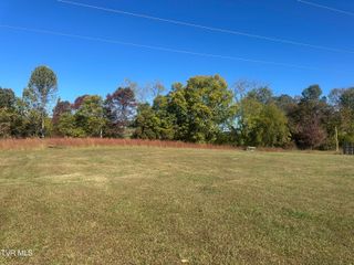 113 Briarpatch Court, Fall Branch, TN 37656