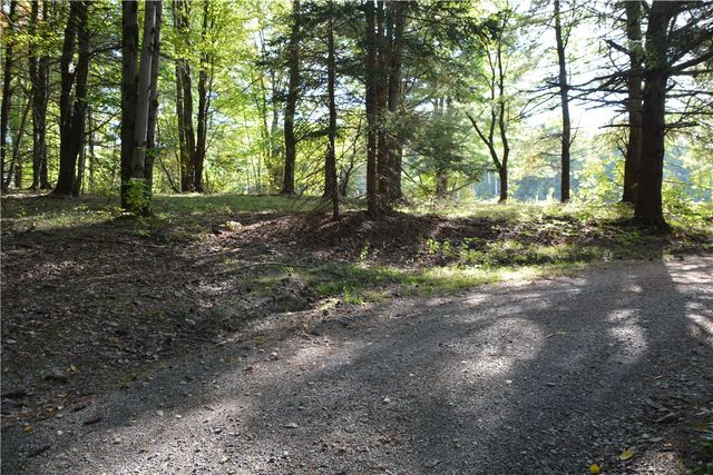 2048 Swartwood Hill Road, Erin, NY 14838