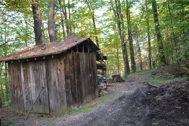 2048 Swartwood Hill Road, Erin, NY 14838