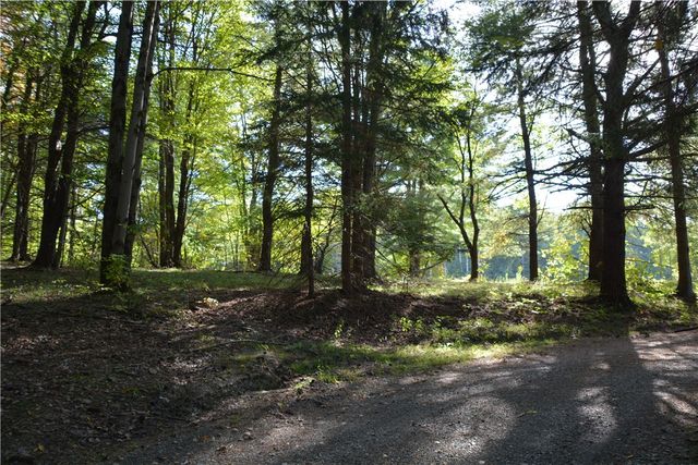 2048 Swartwood Hill Road, Erin, NY 14838