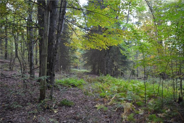 2048 Swartwood Hill Road, Erin, NY 14838