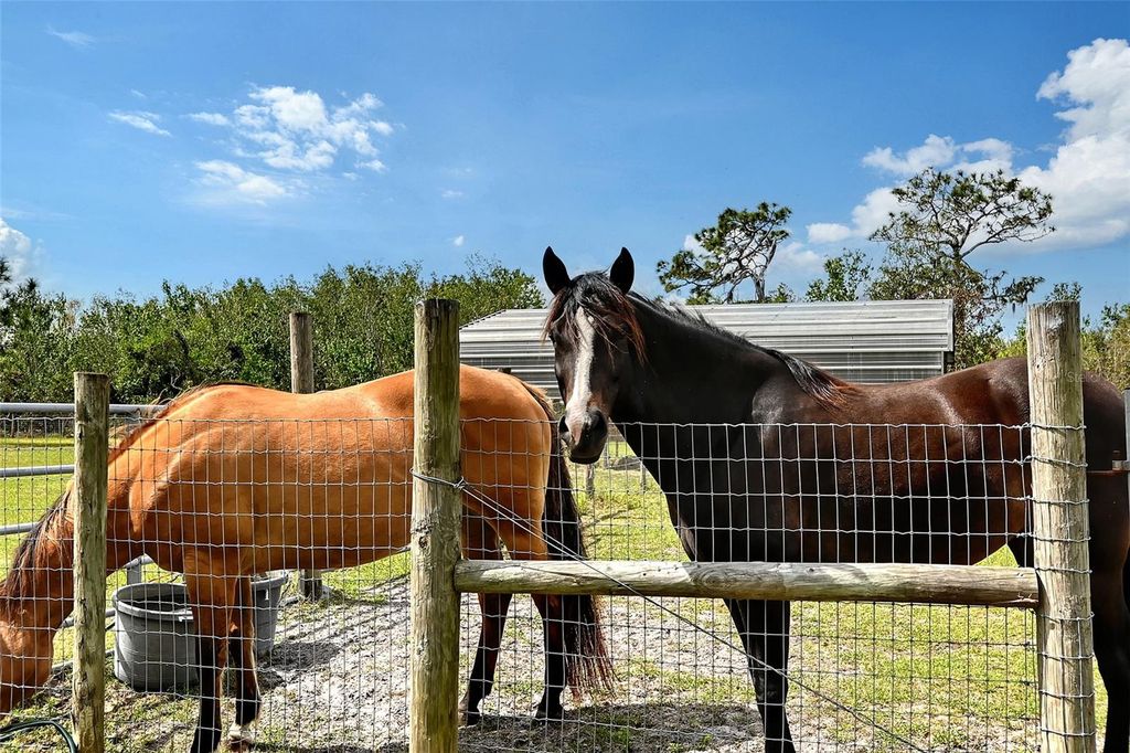 Image 62 of property listing at 7108 229TH STREET E, Bradenton, FL 34211