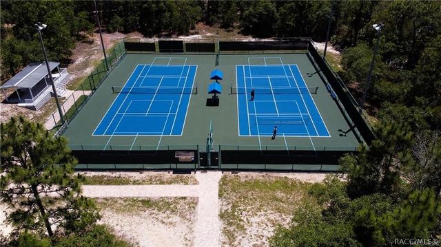 6230 W El Dorado Lane, Beverly Hills, FL 34465
