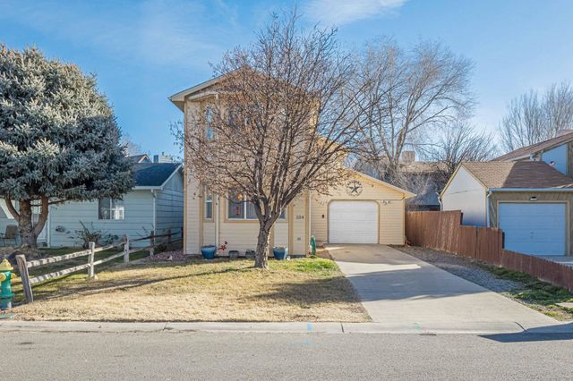 254 Nashua Court, Grand Junction, CO 81503