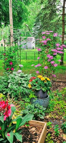 3584 W Maple Road, Wixom, MI 48393