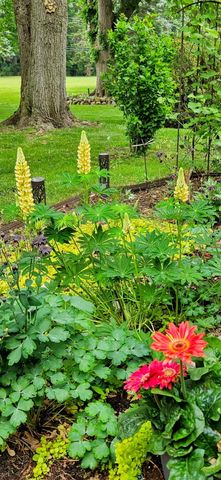 3584 W Maple Road, Wixom, MI 48393