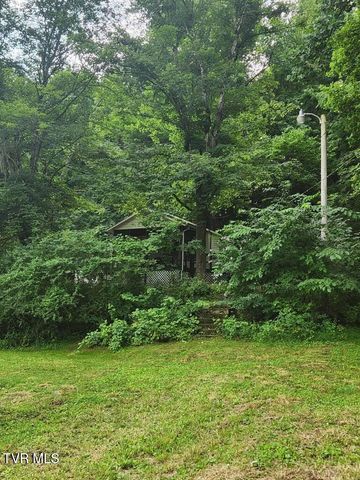 263 Long Hollow Road, Elizabethton, TN 37643