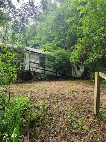 263 Long Hollow Road, Elizabethton, TN 37643