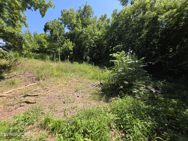 1101 Beardshire St, Sweetwater, TN 37874