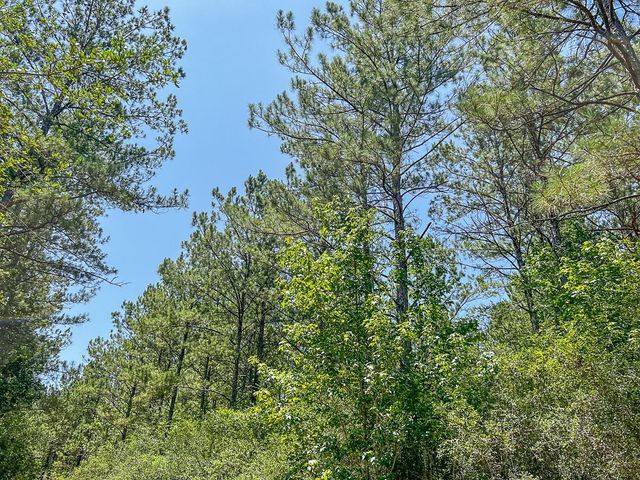 01 Cr 364, Zavalla, TX 75980