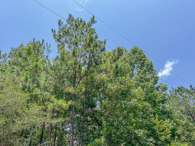 01 Cr 364, Zavalla, TX 75980