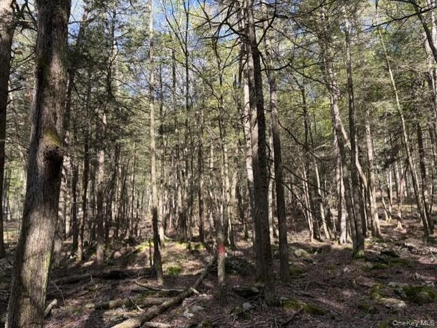 Glenwild Drive, Smallwood, NY 12720
