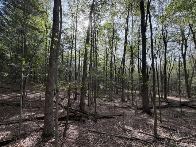 Glenwild Drive, Smallwood, NY 12720