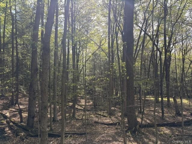 Glenwild Drive, Smallwood, NY 12720