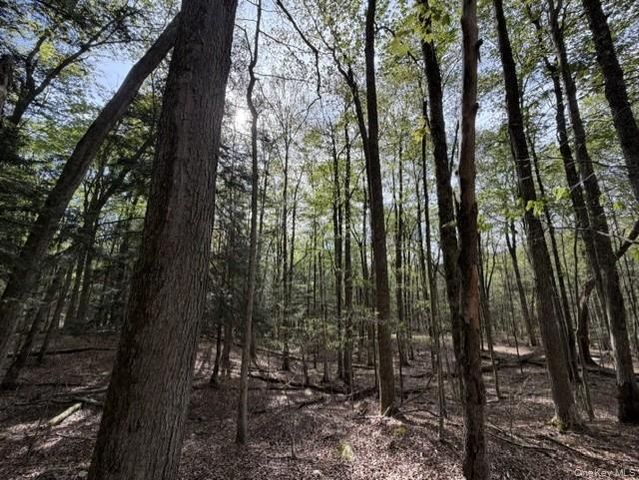Glenwild Drive, Smallwood, NY 12720