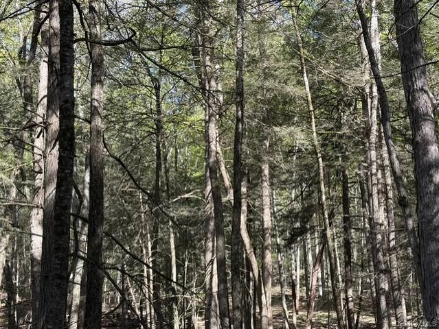 Glenwild Drive, Smallwood, NY 12720