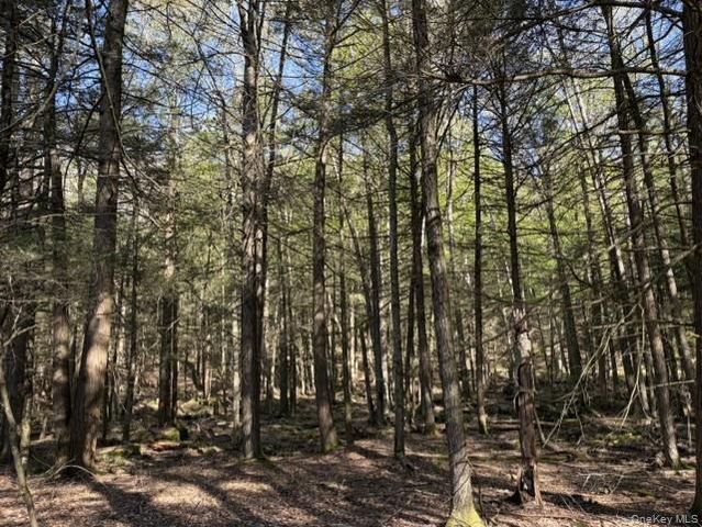 Glenwild Drive, Smallwood, NY 12720