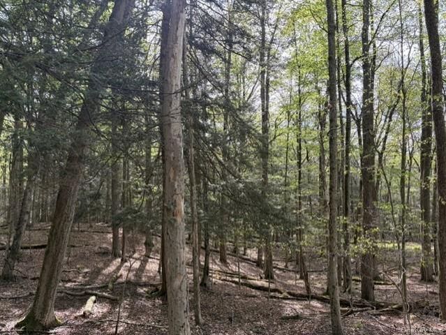 Glenwild Drive, Smallwood, NY 12720