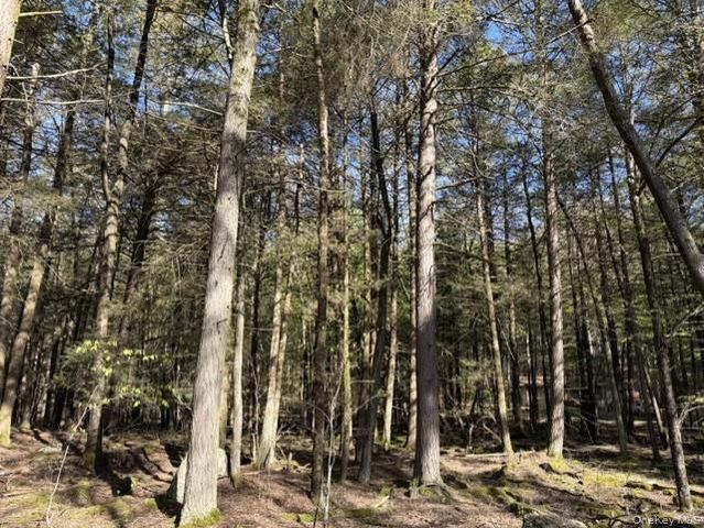 Glenwild Drive, Smallwood, NY 12720