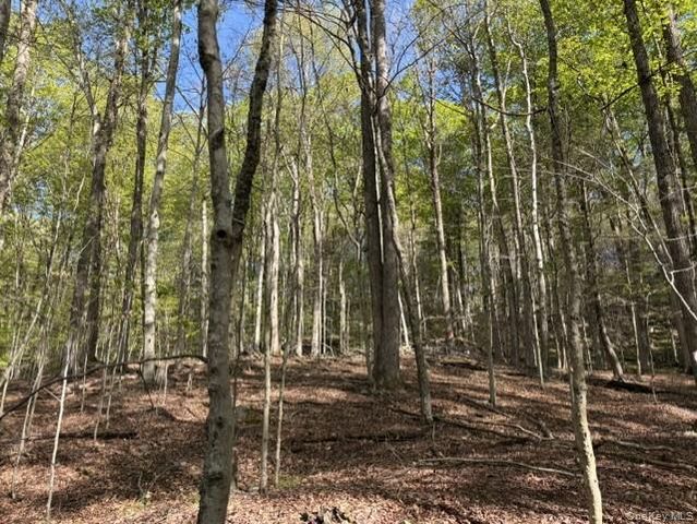 Glenwild Drive, Smallwood, NY 12720