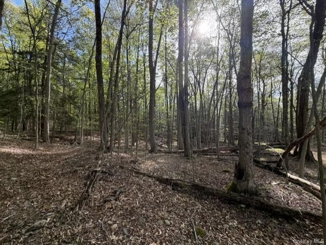 Glenwild Drive, Smallwood, NY 12720