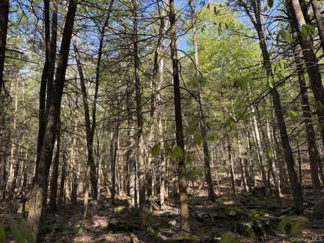 Glenwild Drive, Smallwood, NY 12720