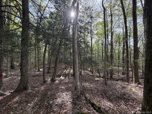 Glenwild Drive, Smallwood, NY 12720