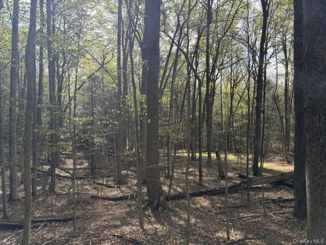 Glenwild Drive, Smallwood, NY 12720
