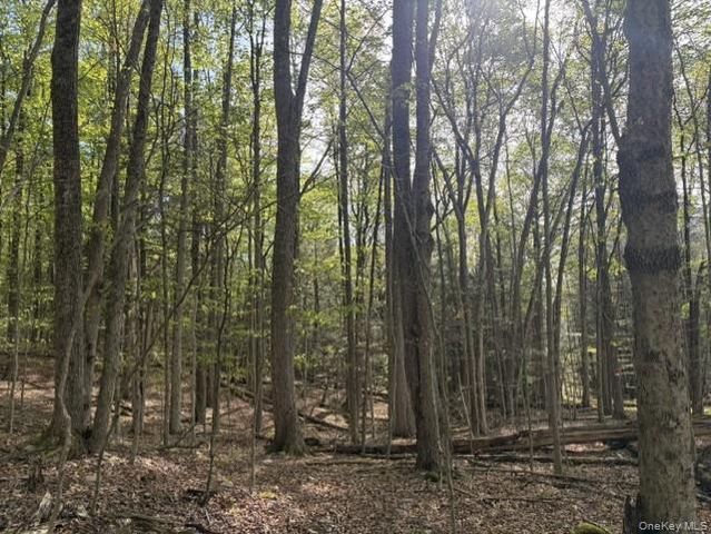 Glenwild Drive, Smallwood, NY 12720