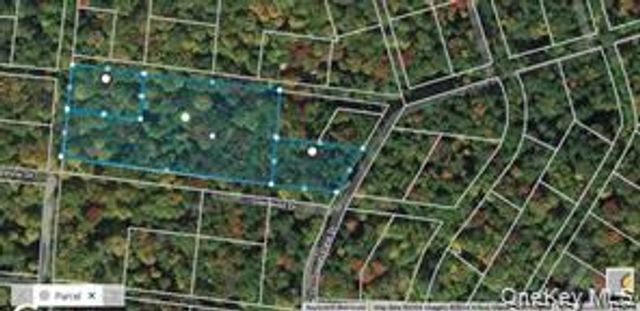 Glenwild Drive, Smallwood, NY 12720