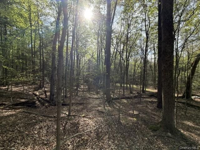 Glenwild Drive, Smallwood, NY 12720