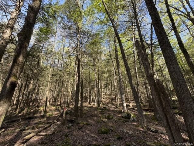 Glenwild Drive, Smallwood, NY 12720