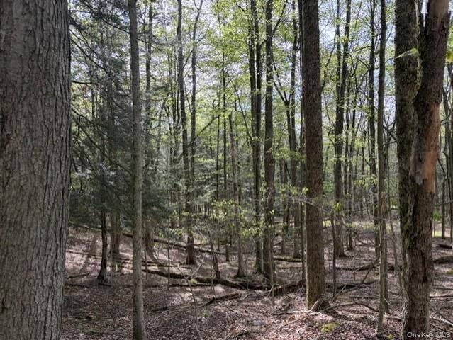 Glenwild Drive, Smallwood, NY 12720