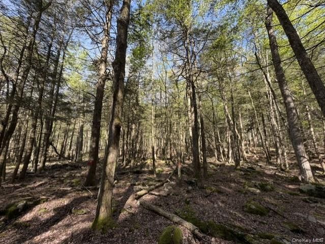 Glenwild Drive, Smallwood, NY 12720