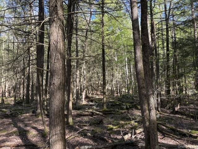 Glenwild Drive, Smallwood, NY 12720