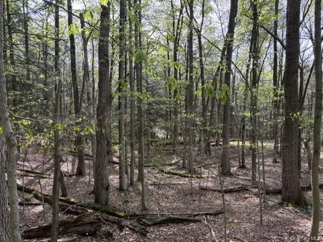 Glenwild Drive, Smallwood, NY 12720