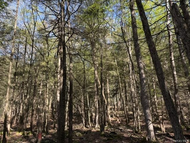 Glenwild Drive, Smallwood, NY 12720