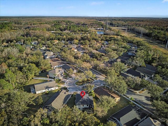 16204 HAMPTON TRACE COURT, Tampa, FL 33647