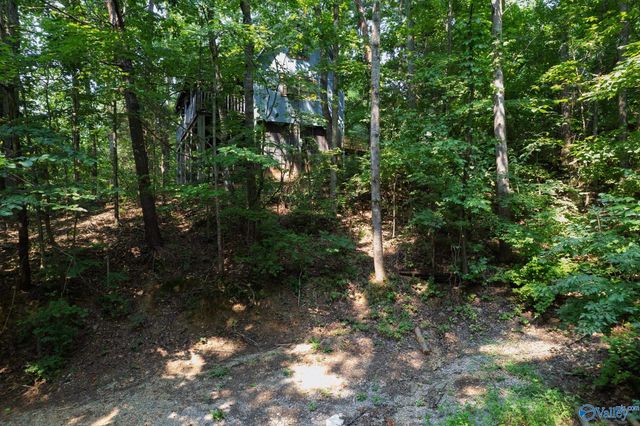 270 Summer Lane, Trenton, GA 30752