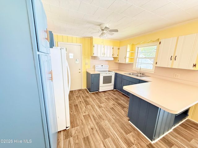 501 N Chestnut Street, Mount Olive, NC 28365