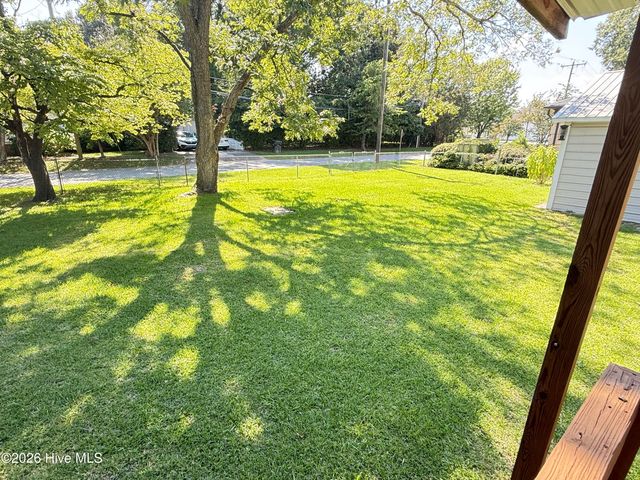 501 N Chestnut Street, Mount Olive, NC 28365