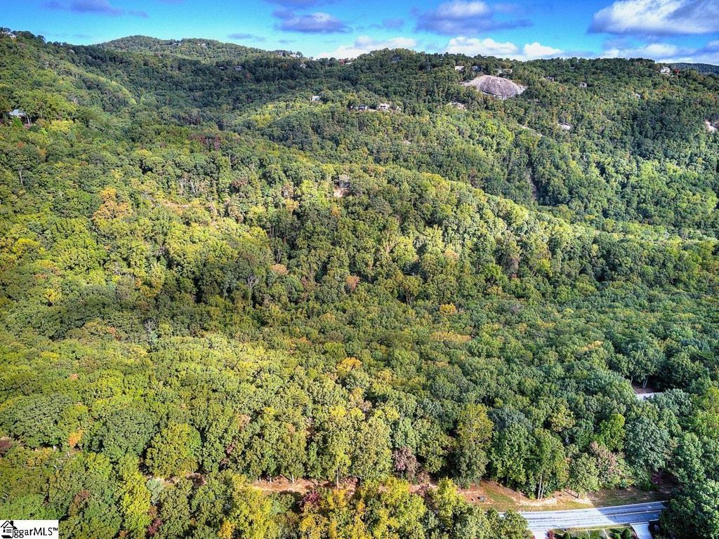 622 Plumley Summit Road, Landrum, SC 29356