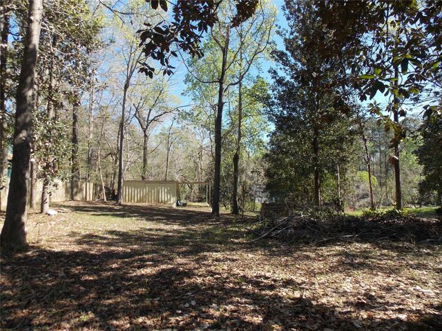 412 Driftwood Drive, Goodrich, TX 77335