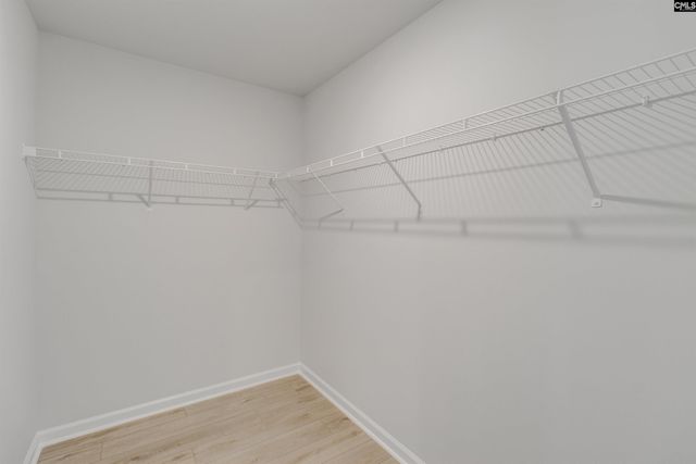 3620 Stedding Place, Lexington, SC 29073