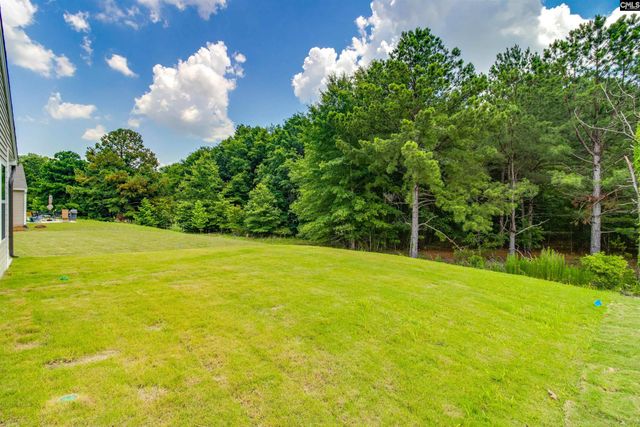 3620 Stedding Place, Lexington, SC 29073