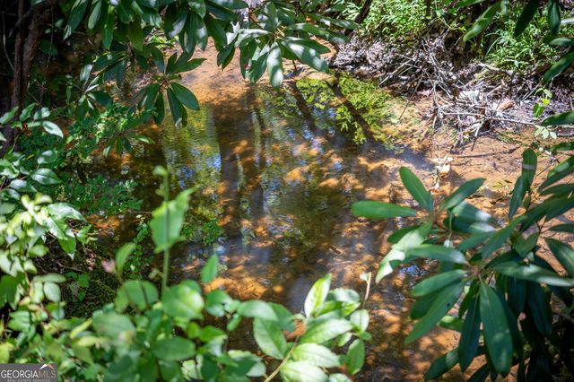 42 Waterstone Way, Mineral Bluff, GA 30559