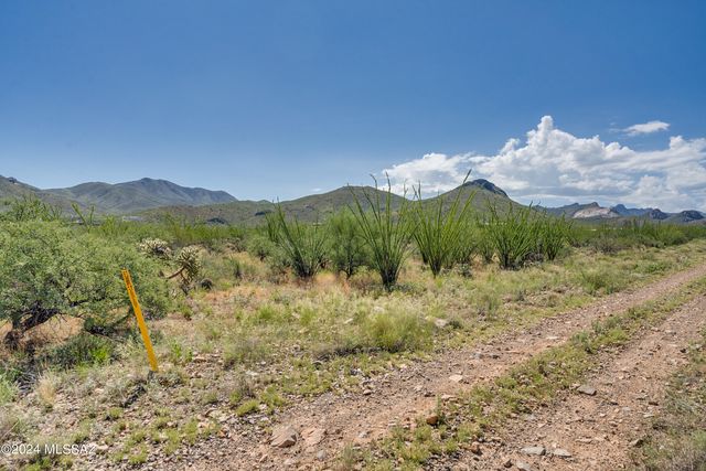 9789 E Ocotillo Rim Trail, Vail, AZ 85641