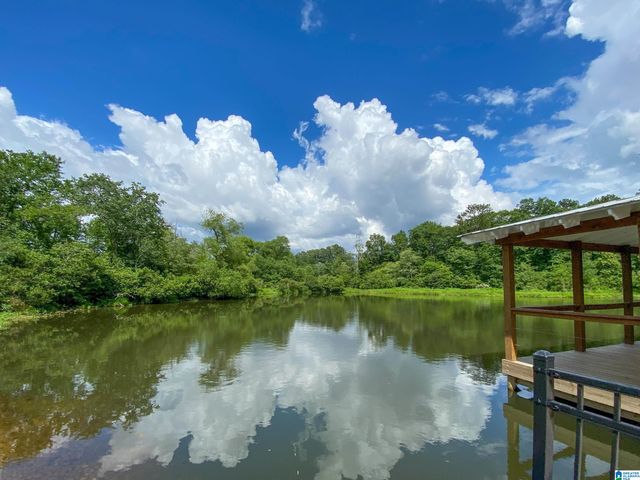 1945 JANEWAY PASS, Hoover, AL 35244