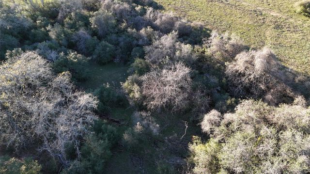 20.1290 Acres, Us Hwy 77 South S, Hallettsville, TX 77964