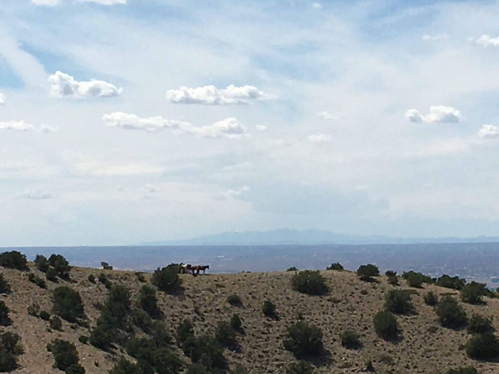 Unit 3 Camino Halcon, Placitas, NM 87043